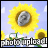 Cheer up eCard starring you as a dancing sunflower!