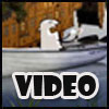 Funny video eCard of Dave going to Skane