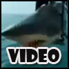 A video eCard from the deep blue sea