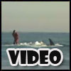 Send this video eCard of a crazy man surfing with sharks